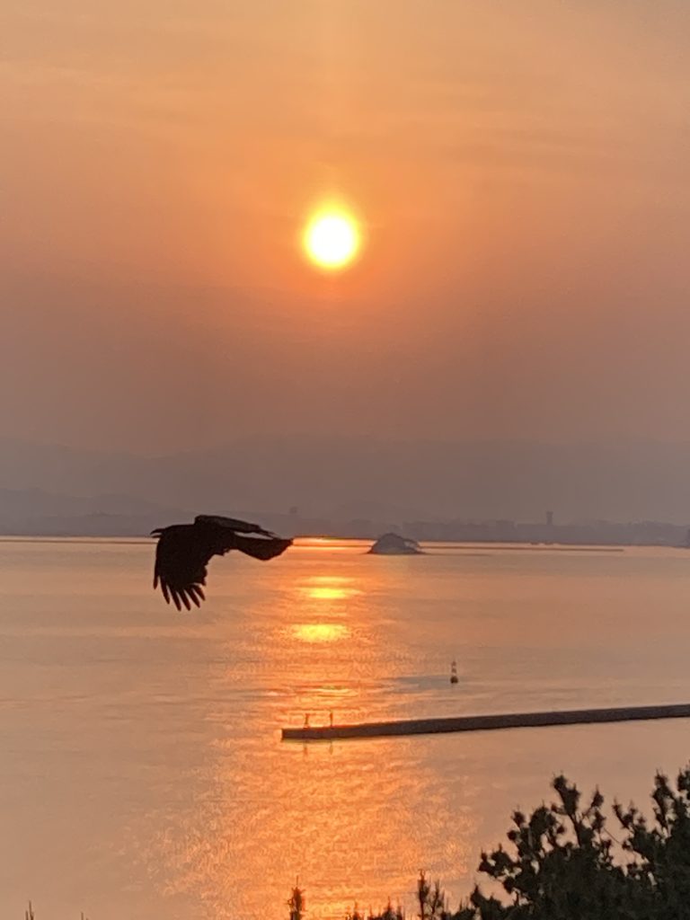 朝焼けの博多湾