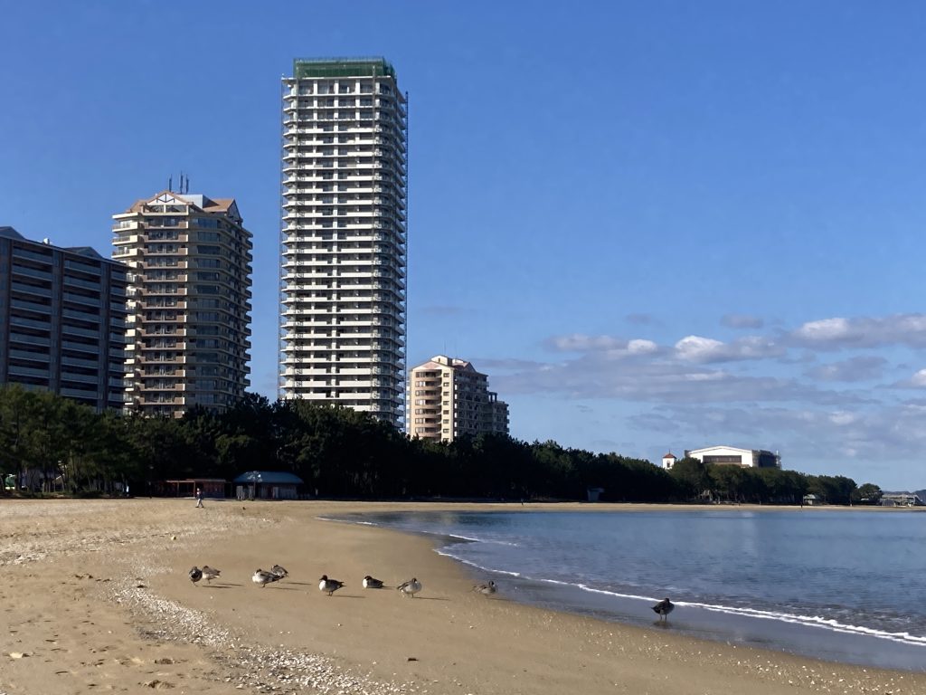 穏やかな愛宕浜